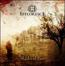 Effloresce : Shades of Fate